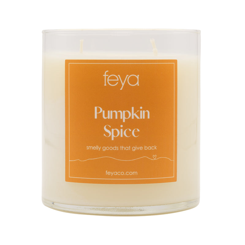 Feya Pumpkin Spice 17 oz Candle